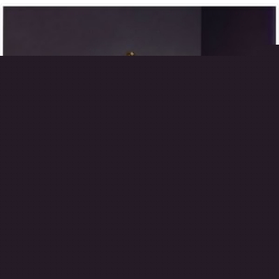 Интерьерная настольная лампа 8611 P 8611 P