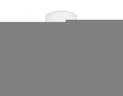 Точечный светильник Techno Spot TN231