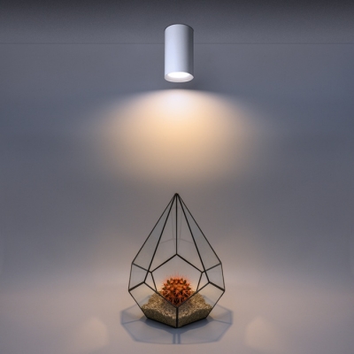 Точечный светильник Wsl-Gu10 WSL-GU10/01W