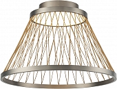 Потолочный светильник Spider 8981 