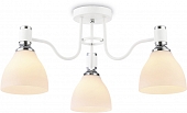 Потолочная люстра TRADITIONAL TR303302 