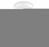 Потолочная люстра TRADITIONAL TR303229 