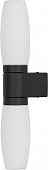Настенный светильник Aqua-Bastone A1209AP-2BK 