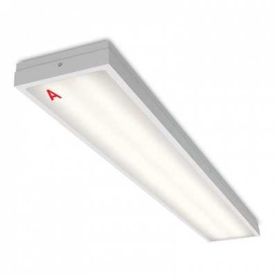 Светодиодная панель STD ДПО13-36-141-4К