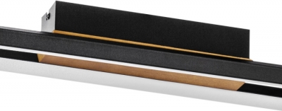 Потолочный светильник Lodi 723427