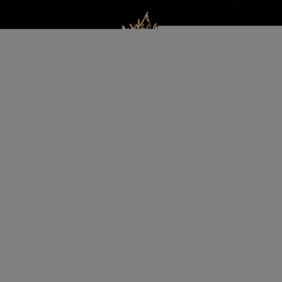 Торшер Savage F8005-5 GD