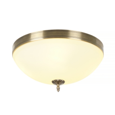 Потолочный светильник Biene MR1528-4C