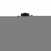 Потолочная люстра Feloria 2009/02/08C 