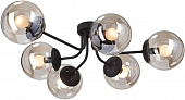 Потолочная люстра  V4997-1/6PL 