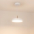 Подвесной светильник ELEGANT 033914(1)