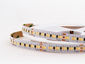 Светодиодная лента  005829 