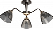 Потолочная люстра Альфа 115010303 