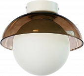 Настенно-потолочный светильник  WLL029.000.034.101 