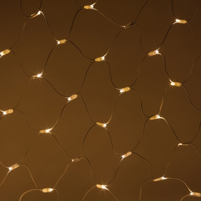 Гирлянда  ERAPS-SK2