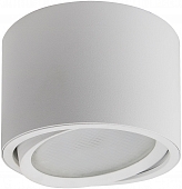 Точечный светильник  41994 