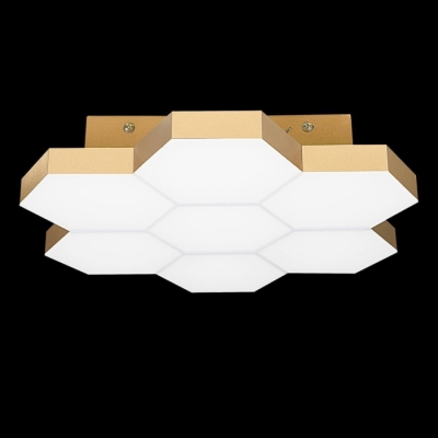 Потолочный светильник FAVO 750071