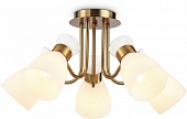 Потолочная люстра TRADITIONAL TR3218 