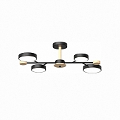 Потолочная люстра LED4U L3213-670 BK 