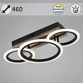 Потолочная люстра  00330-0.3-2+1 