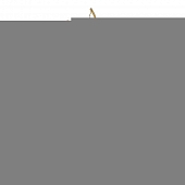 Бра  FOREST AP3 GOLD 