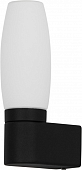 Настенный светильник Aqua-Bastone A1209AP-1BK 
