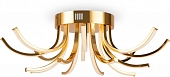 Потолочная люстра Naomi FR6046CL-L50G 