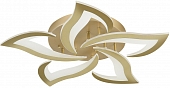 Потолочная люстра Olimp INNOVATION STYLE 83058 