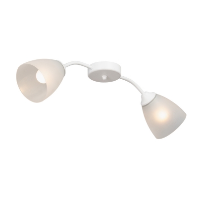 Потолочная люстра  V3750/2PL