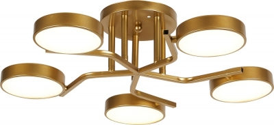 Потолочная люстра Starlight 10273/5LED