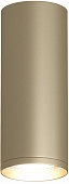 Точечный светильник TUBE DK2051-SG 
