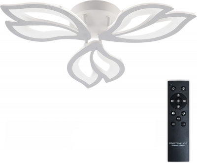 Потолочная люстра Fortuna LED LAMPS 81107/2C