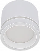 Точечный светильник  53003-9.5-001LD GX53 WT 