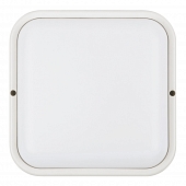 Настенно-потолочный светильник  ULW-Q229 24W/6500K IP65 WHITE 