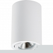 Точечный светильник Rullo 214406 