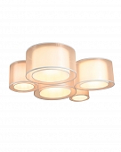 Потолочный светильник Massa V11398-5C 