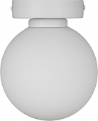 Настенно-потолочный светильник  WLL105.17WH-S01WH 