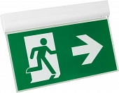 Аварийный светильник EMERGENCY 045655 