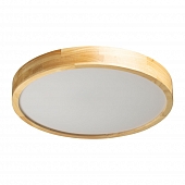 Потолочный светильник Норден 660015501 