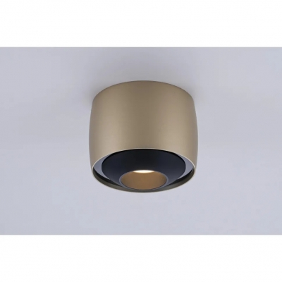 Точечный светильник Vision 300 CHM