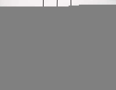 Подвесной светильник TRADITIONAL TR8427