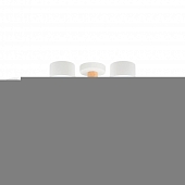 Потолочная люстра Tenda A1624PL-8WH 