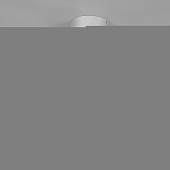 Спот Strong 20084/1 LED серебро 