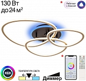 Потолочная люстра Trio CL215B132 