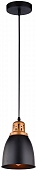 Подвесной светильник Eurica A4248SP-1BK 
