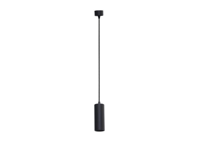 Подвесной светильник Rollo DL18895R10W1B S