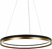 Подвесной светильник MD21001010 MD21001010-1B black/br.gold 