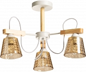 Потолочная люстра Дэла 635018303 