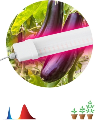 Светильник для растений  FITO-36W-RB-N