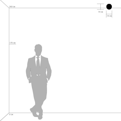 Настенный светильник Globo 803010