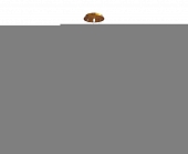 Подвесная люстра Sweet 2130/03/10P 